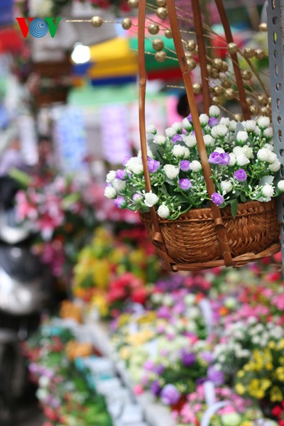 Spring flowers blossoming around Hanoi Lake - ảnh 8